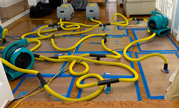 Professional Water Extraction technician working in Agoura Hills, CA